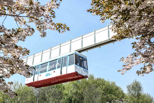 Die H-Bahn fährt an blühenden Bäumen vorbei.